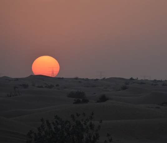 Desert Safaris